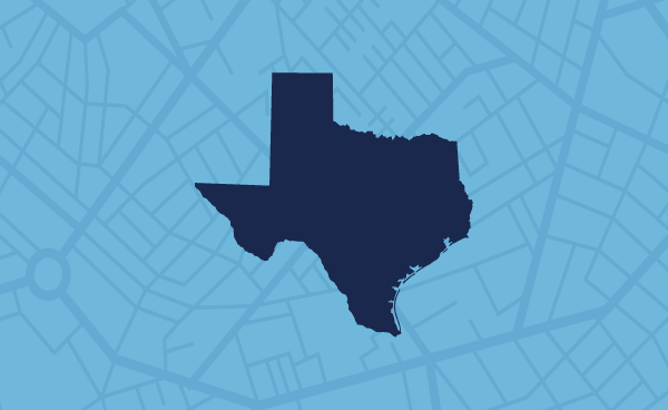 Texas icon