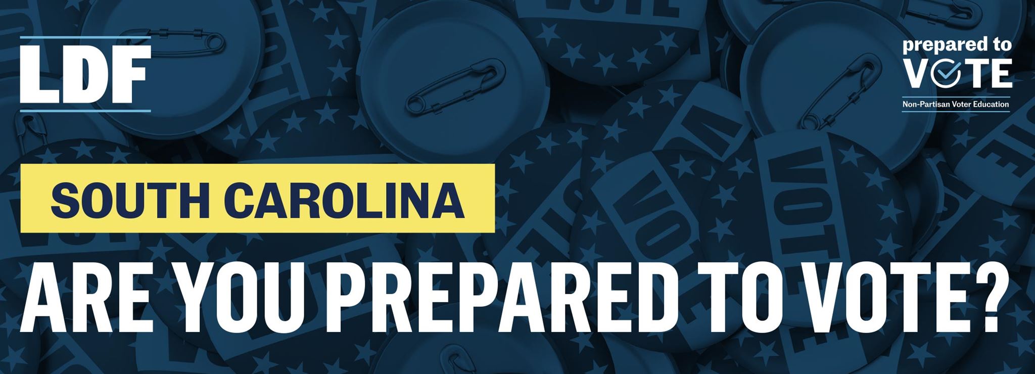 South Carolina: Are you prepared to vote?