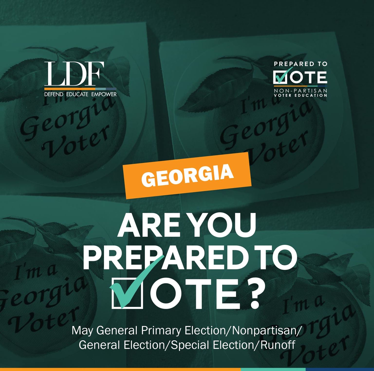 Georgia: Are you prepared to vote?